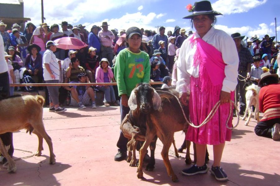 Festival del Queso y la Cabra